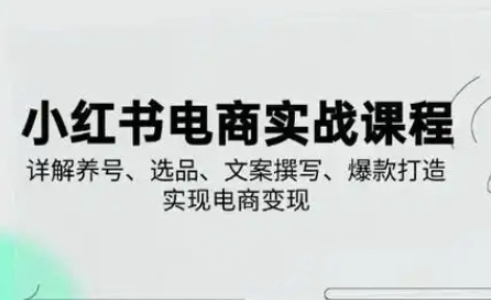 小红书从0-1实操课(2023-2025),详解养号、选品、文案撰写、爆款打造实现电商变现-星叙轻创