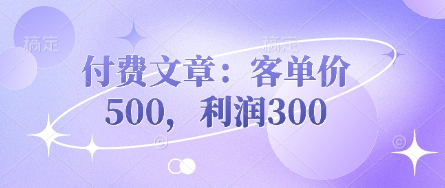 付费文章:客单价500,利润300-星叙轻创