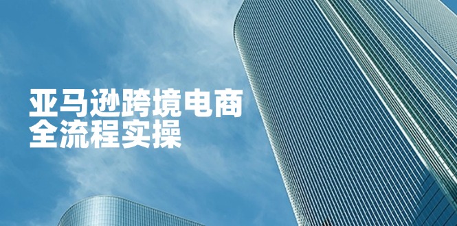 (14252期)亚马逊跨境电商全流程实操,教你从零开始,掌握店铺运营与广告技巧-星叙轻创