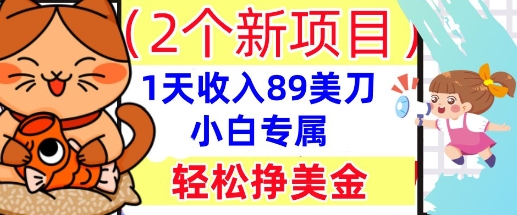 2个新项目,轻松挣美金, 1天收入89美刀,小白专属,干货分享-星叙轻创
