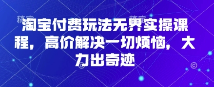淘宝付费玩法无界实操课程,高价解决一切烦恼,大力出奇迹-星叙轻创